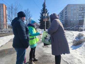 Акция "Внимание! Пешеходы!"